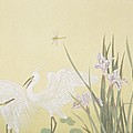 Clean feathers, clean air  Painting by HuiZhen Zhang