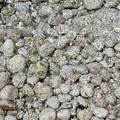 Clear sea water flowing over white stones 2 Photograph by Adriana Mueller Clear sea water flowing over white stones 2 Photograph by Adriana Mueller