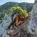 Cliffs of the mediterranean coast Photograph by Adriana Mueller Cliffs of the mediterranean coast Photograph by Adriana Mueller