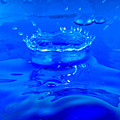 Close Up Of The Water Drops Photograph by Severija Kirilovaite Close Up Of The Water Drops Photograph by Severija Kirilovaite