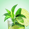 Closeup mojito cocktail with ice isolated over pastel background Photograph by Jelena Jovanovic Closeup mojito cocktail with ice isolated over pastel background Photograph by Jelena Jovanovic