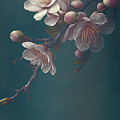 Closeup of spring pastel blooming flower in orchard. Macro cherr Photograph by Jelena Jovanovic Closeup of spring pastel blooming flower in orchard. Macro cherr Photograph by Jelena Jovanovic