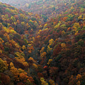 Cloudland Canyon - Georgia Photograph by Richard Krebs Cloudland Canyon - Georgia Photograph by Richard Krebs
