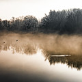 Clouds Of Mist Over The Watershed Of National Park River Danube Wetlands In Austria Photograph by Andreas Berthold Clouds Of Mist Over The Watershed Of National Park River Danube Wetlands In Austria Photograph by Andreas Berthold