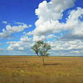 Clouds over a Lone Tree Photograph by Andre Petrov Clouds over a Lone Tree Photograph by Andre Petrov