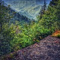 Clouds over the Smokies Photograph by Evan Foster Clouds over the Smokies Photograph by Evan Foster