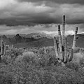 Clouds Over the Tucson Mountains B W by David T Wilkinson