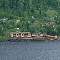 Coastal Forest Homes by Bill Posner