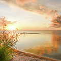 Coastal Sunset Photograph by Christopher Rice Coastal Sunset Photograph by Christopher Rice