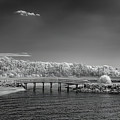 Coastal Wonderland Photograph by DB Hayes Coastal Wonderland Photograph by DB Hayes