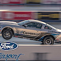 Cobra Jet action Photograph by Darrell Foster Cobra Jet action Photograph by Darrell Foster
