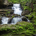 Cold Brook Fall Summer Scene by White Mountain Images
