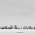 Cold Horizon Photograph by Scott Norris Cold Horizon Photograph by Scott Norris
