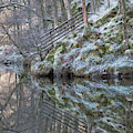 Cold Reflections Photograph by Anita Nicholson Cold Reflections Photograph by Anita Nicholson