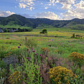 Colorado Beauty by Mars Besso