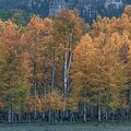 Colorado Fall by Chuck Jason