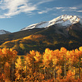 Colorado Gold Photograph by Darren White Colorado Gold Photograph by Darren White
