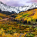 Colorado Gold Photograph by Ryan Smith