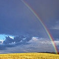 Colorado Rainbow Photograph by Bob Falcone Colorado Rainbow Photograph by Bob Falcone