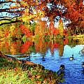 Colorful Autumn on the Lake ap Photograph by Dan Carmichael Colorful Autumn on the Lake ap Photograph by Dan Carmichael