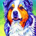 Colorful Blue Merle Australian Shepherd Dog Painting by Rebecca Wang Colorful Blue Merle Australian Shepherd Dog Painting by Rebecca Wang