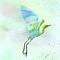 Colorful Crane Watercolor Bird Wildlife Painting Digital Art by Shelli Fitzpatrick Colorful Crane Watercolor Bird Wildlife Painting Digital Art by Shelli Fitzpatrick