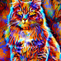 Colorful Maine Coon cat sitting - digital painting Digital Art by Nicko Prints Colorful Maine Coon cat sitting - digital painting Digital Art by Nicko Prints