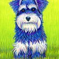 Colorful Miniature Schnauzer Dog Drawing by Rebecca Wang Colorful Miniature Schnauzer Dog Drawing by Rebecca Wang