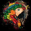 Colorful parrot head painting, Macaw parrot Painting by Nadia CHEVREL Colorful parrot head painting, Macaw parrot Painting by Nadia CHEVREL