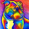 Colorful Rainbow Staffordshire Bull Terrier Dog Painting by Rebecca Wang Colorful Rainbow Staffordshire Bull Terrier Dog Painting by Rebecca Wang