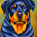 Colorful Rottweiler Dog Painting by Rebecca Wang Colorful Rottweiler Dog Painting by Rebecca Wang