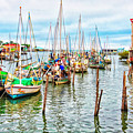 Colors of Belize - Digital paint Photograph by Tatiana Travelways Colors of Belize - Digital paint Photograph by Tatiana Travelways