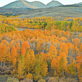 Colors of the Season Photograph by Jonathan Nguyen Colors of the Season Photograph by Jonathan Nguyen