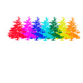 Colourful Trees Mixed Media by Moira Law Colourful Trees Mixed Media by Moira Law