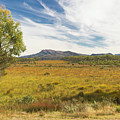 Colours of Tasmania, Australia Photograph by Elaine Teague Colours of Tasmania, Australia Photograph by Elaine Teague