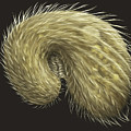 Colpoda Digital Art by Kate Solbakk Colpoda Digital Art by Kate Solbakk