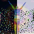 Come Alive And Embrace Digital Art by Atousa Raissyan