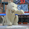Comerica Park-Detroit Tigers 7884 by Jack Schultz
