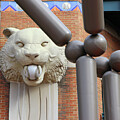Comerica Park-Detroit Tigers 7890 by Jack Schultz