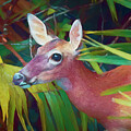 Coming Into My Yard by Deborah Benoit