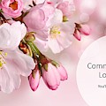 Commit an Act of Love Today Photograph by Nancy Ayanna Wyatt Commit an Act of Love Today Photograph by Nancy Ayanna Wyatt