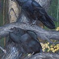 Common Ravens by Barry Kent MacKay