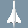 Concorde Jet Passenger Airplane Aircraft - Slate Digital Art by Organic Synthesis Concorde Jet Passenger Airplane Aircraft - Slate Digital Art by Organic Synthesis