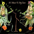 Congratulations the Vegetable  Way by Nancy Griswold