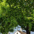 Connecticut River Museum by Marianne Campolongo