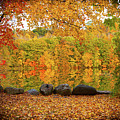 Connecticut_Foliage_8225 Photograph by Rocco Leone Connecticut_Foliage_8225 Photograph by Rocco Leone