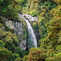 Conrayaro waterfall in the middle of a primary tropical forest by Henri Leduc