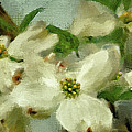 Cool Breeze Painterly Pano Digital Art by Lois Bryan