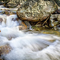 Cool Stream Photograph by Gary Geddes Cool Stream Photograph by Gary Geddes