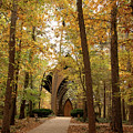 Cooper Memorial Chapel in Autumn #1 by Mindy Musick King